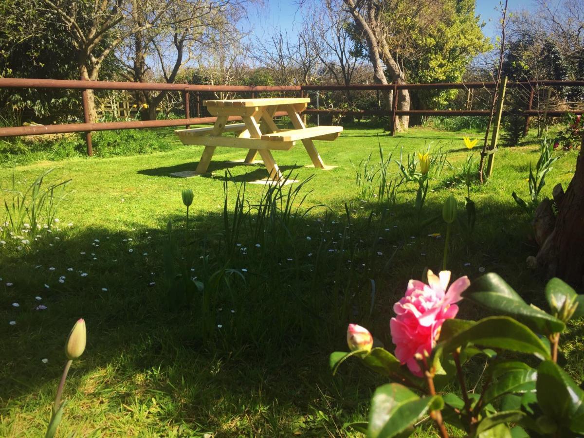 Herons Pool Bed & Breakfast Coverack Luaran gambar